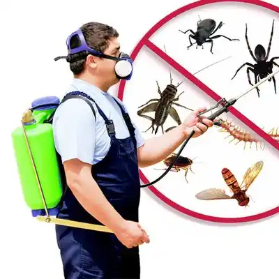 pest control Parkdale